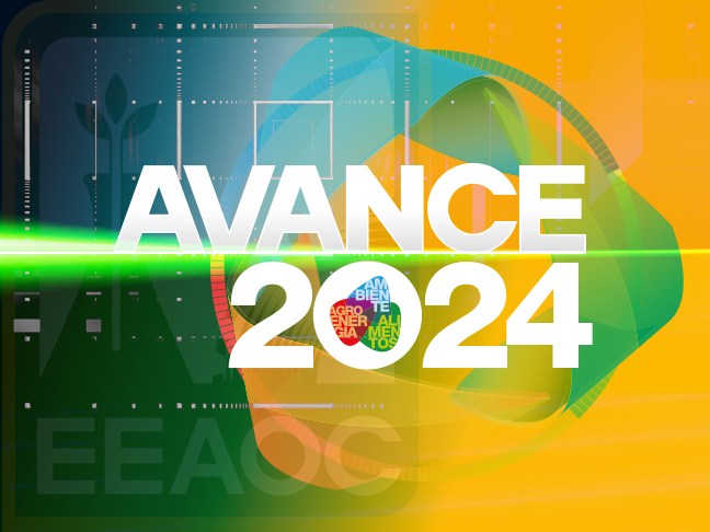 Avance 2024