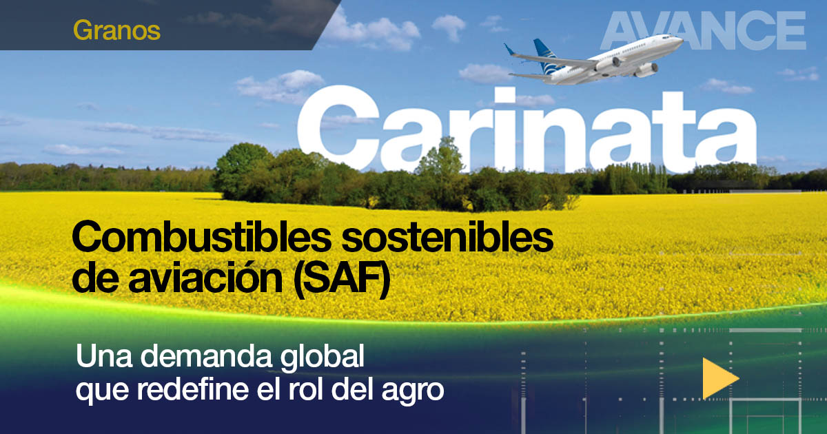 Combustibles sostenibles de aviación (SAF):