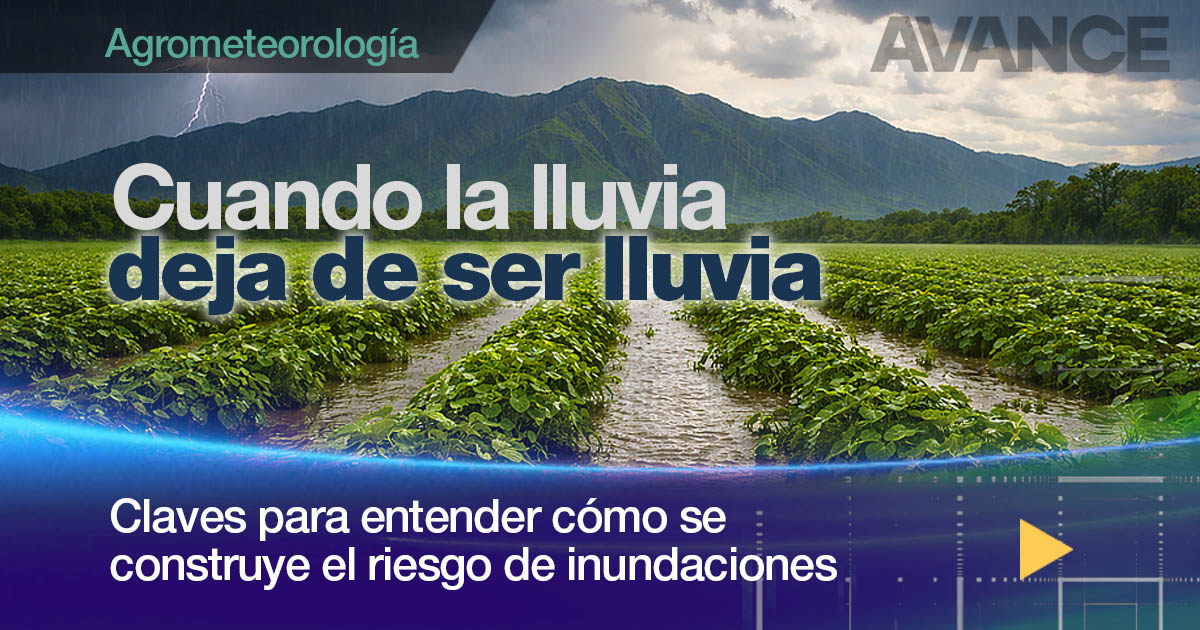 Cuando la lluvia deja de ser lluvia