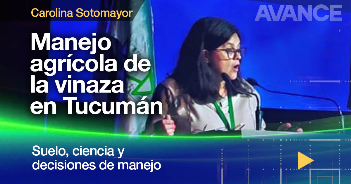 Manejo agrícola de la vinaza en Tucumán