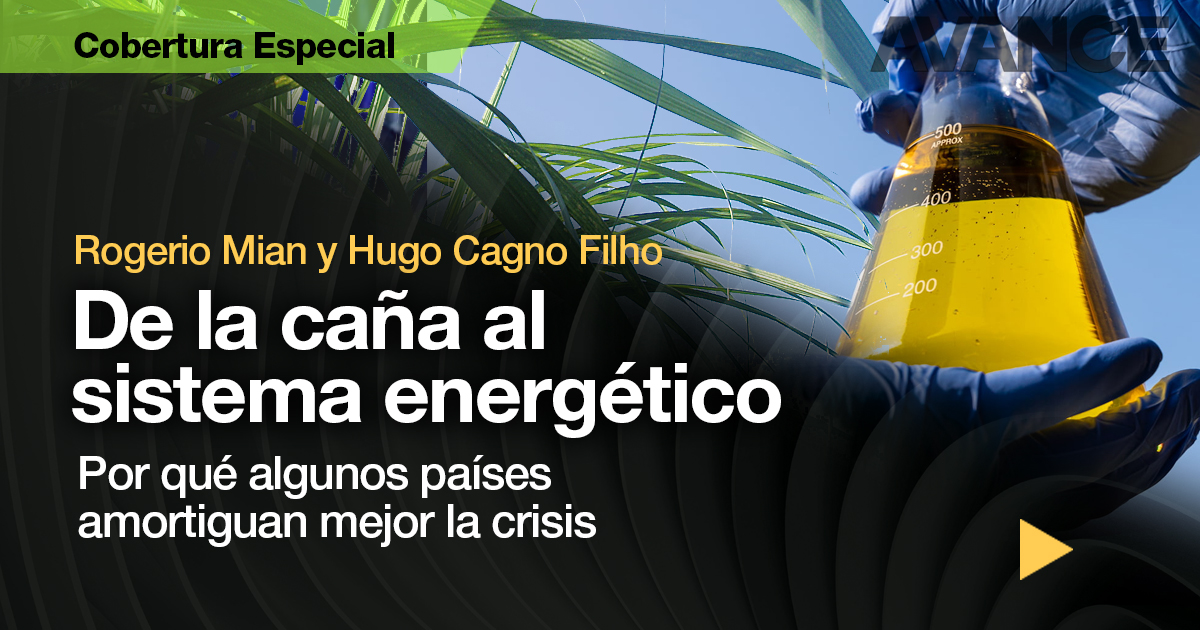 imagen de artículo