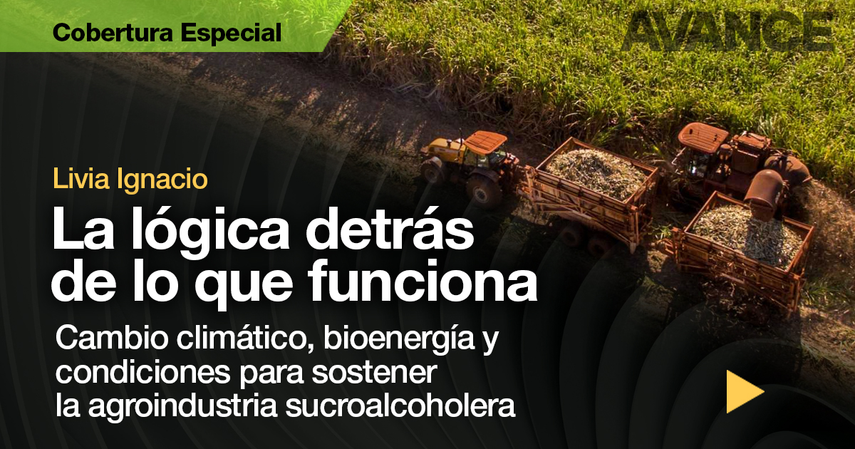 La lógica detrás de lo que funciona