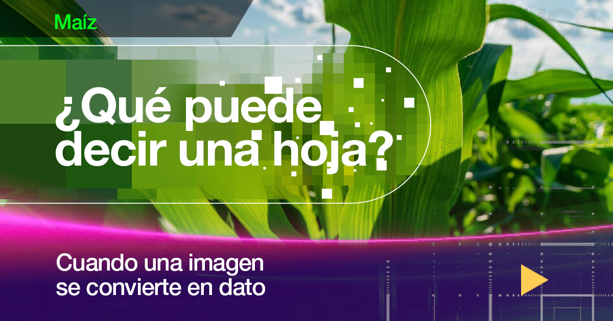 Cuando una imagen se convierte en un dato