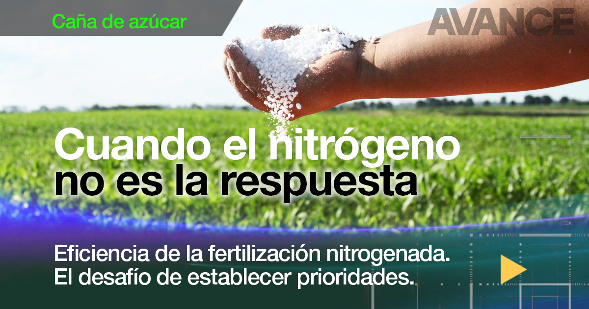 Eficiencia de la fertilización nitrogenada